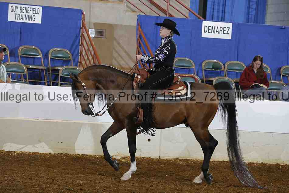 Proof 13r12_7269