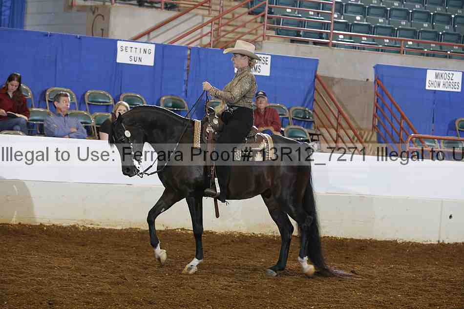 Proof 13r12_7271
