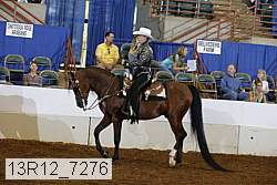13r12_7276 proof