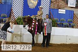 13r12_7279 proof