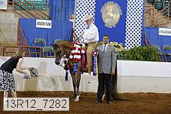 13r12_7282 proof
