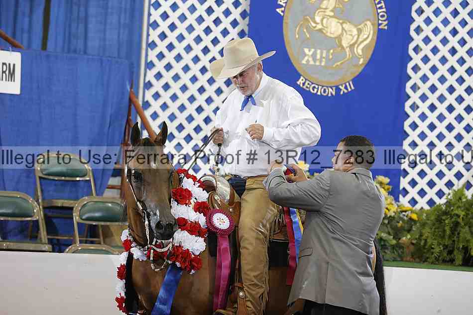 Proof 13r12_7283