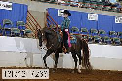 13r12_7288 proof