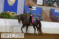 13r12_7289 proof