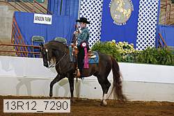 13r12_7290 proof