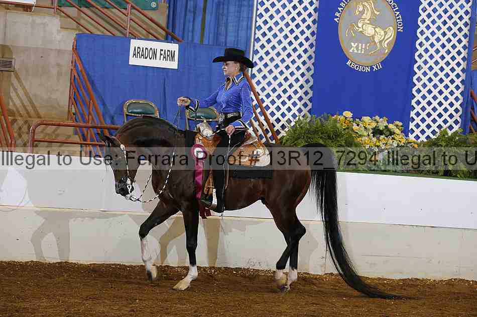 Proof 13r12_7294