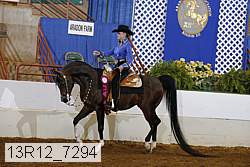 13r12_7294 proof