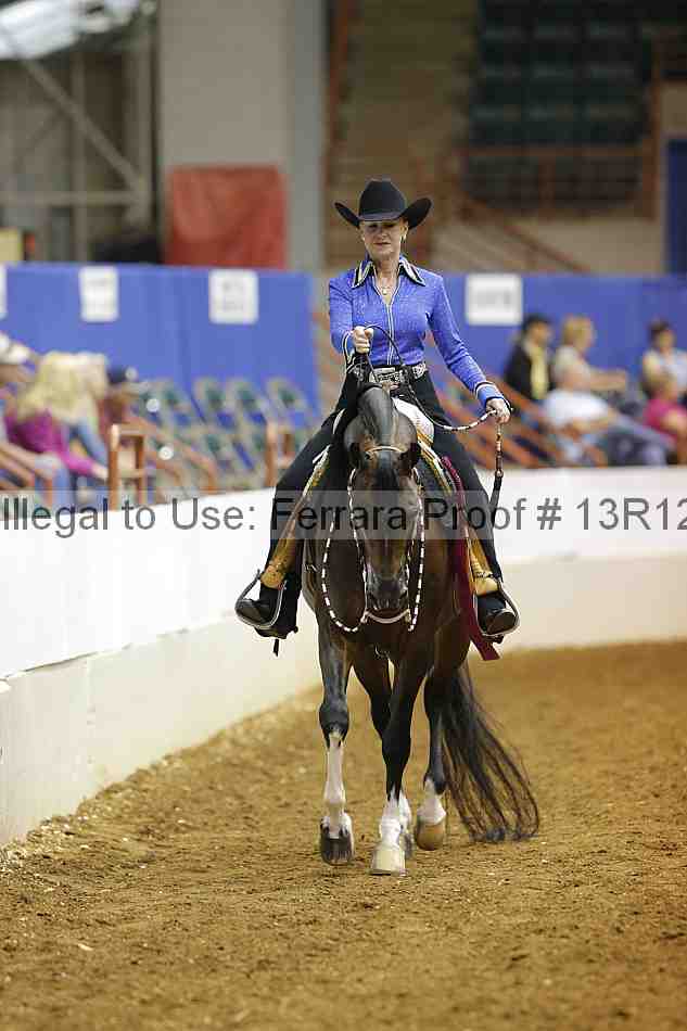 Proof 13r12_7295