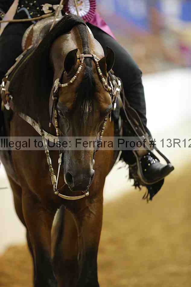 Proof 13r12_7302
