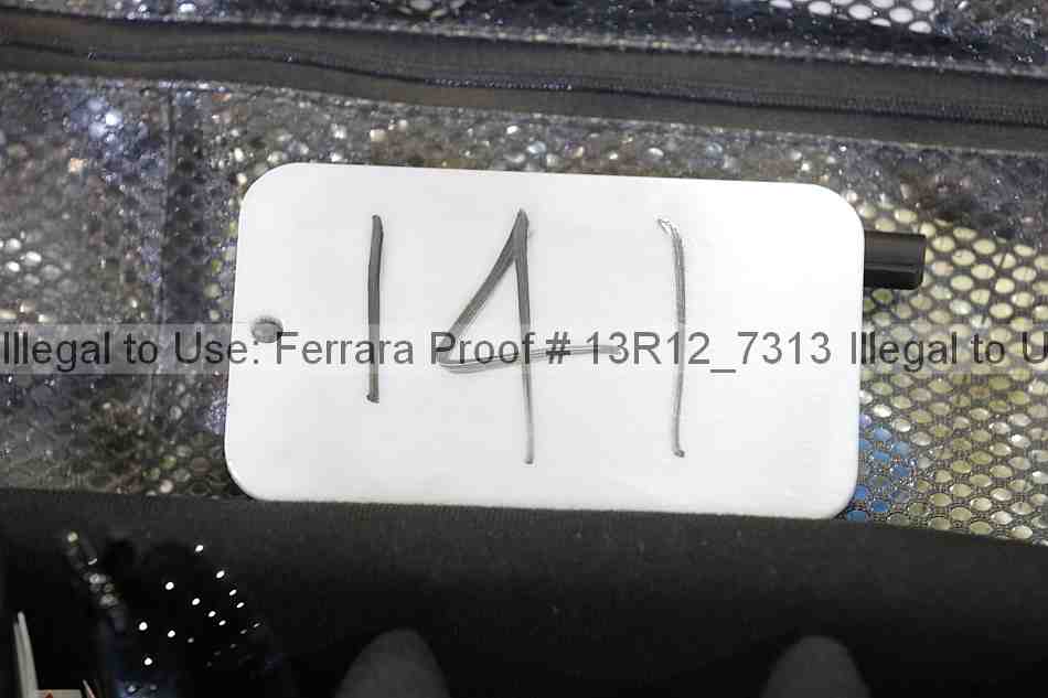 Proof 13r12_7313