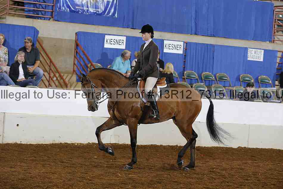 Proof 13r12_7315
