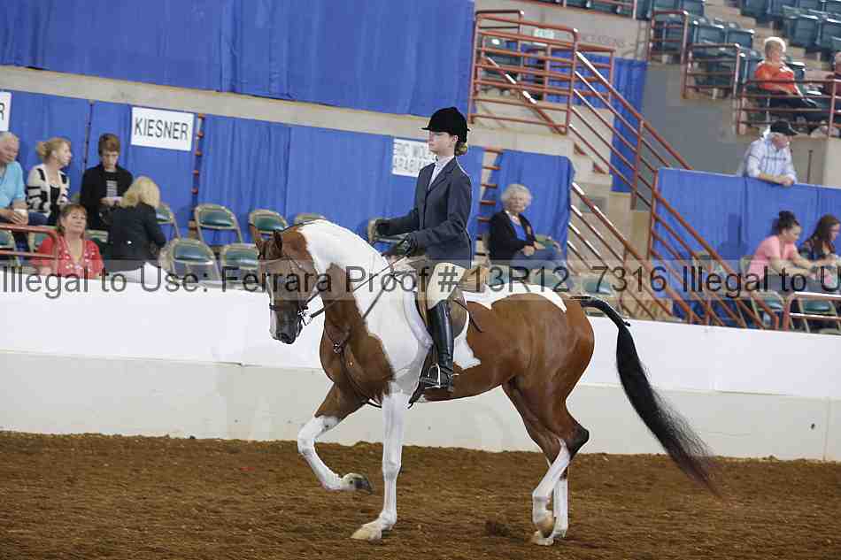 Proof 13r12_7316