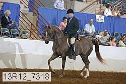 13r12_7318 proof