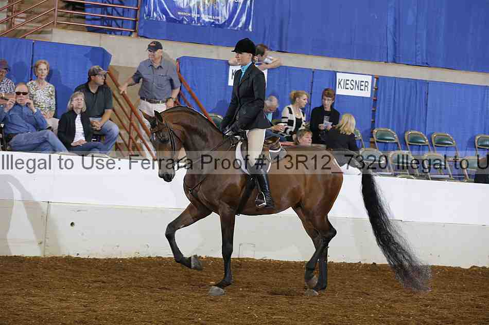 Proof 13r12_7320
