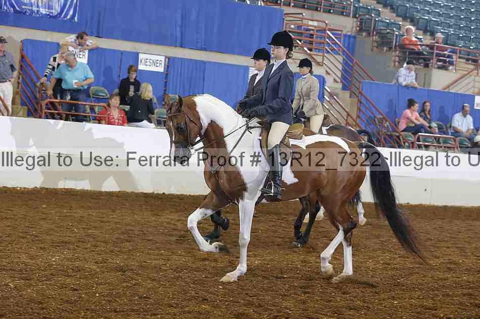 Proof 13r12_7322
