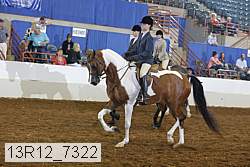 13r12_7322 proof