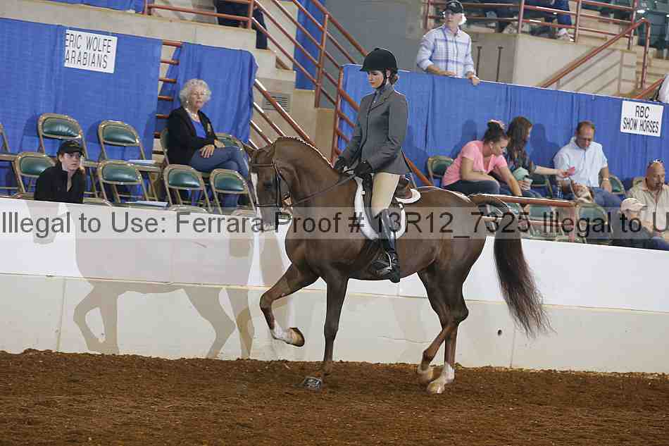 Proof 13r12_7325