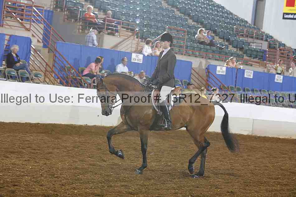 Proof 13r12_7327