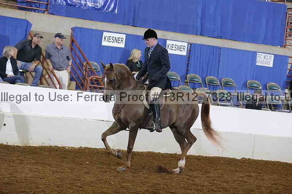Proof 13r12_7328