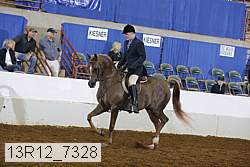 13r12_7328 proof