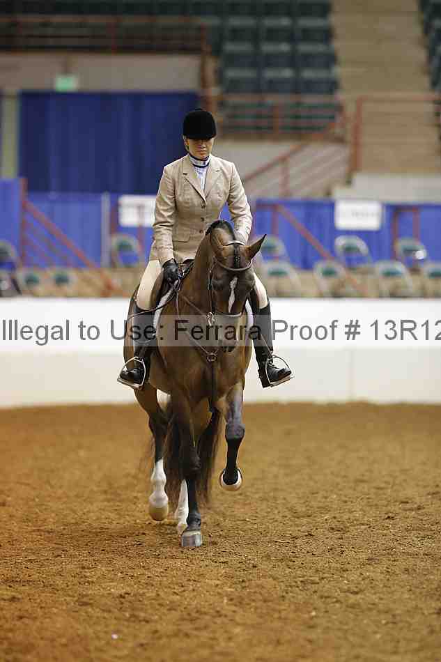 Proof 13r12_7329