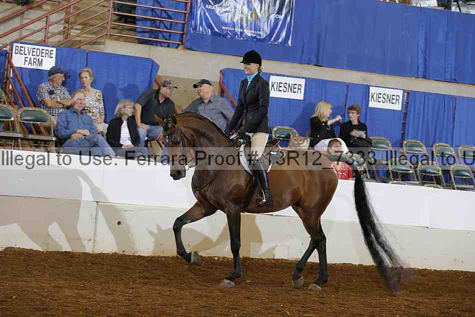 Proof 13r12_7333