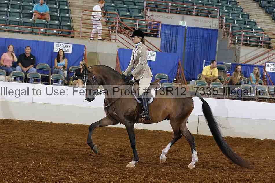 Proof 13r12_7335