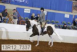 13r12_7337 proof