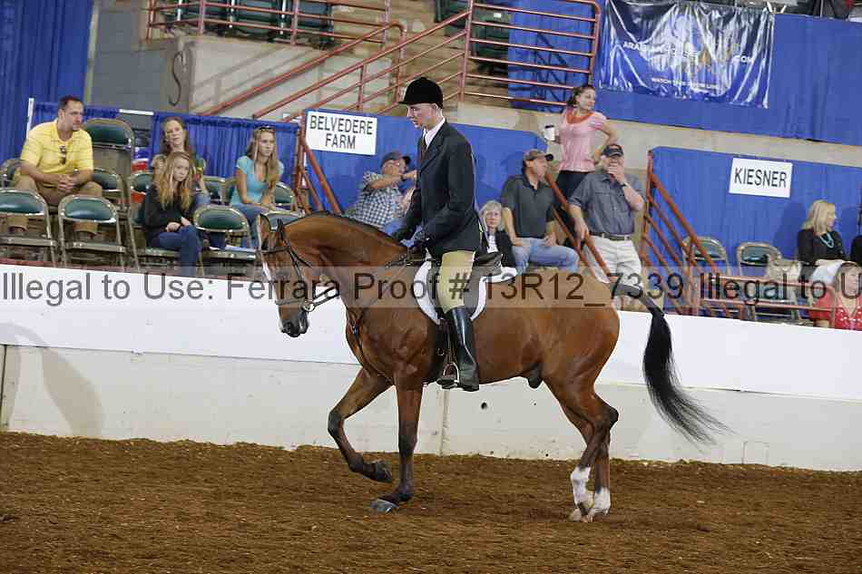 Proof 13r12_7339