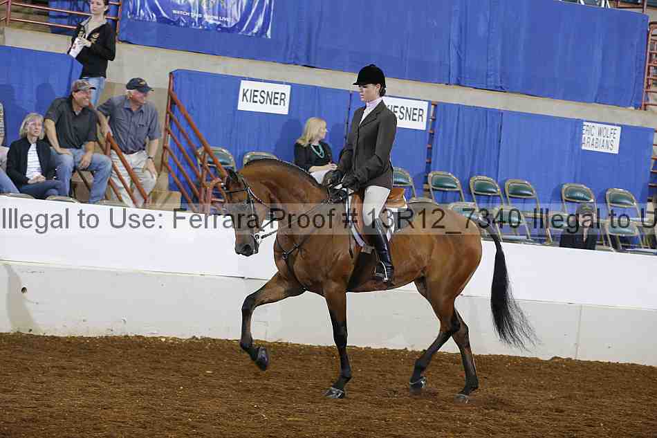 Proof 13r12_7340