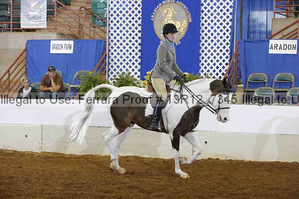 Proof 13r12_7345