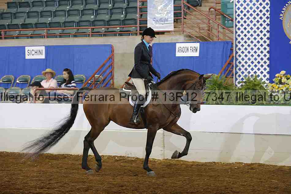 Proof 13r12_7347