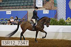 13r12_7347 proof
