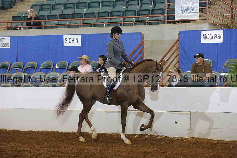 Proof 13r12_7348