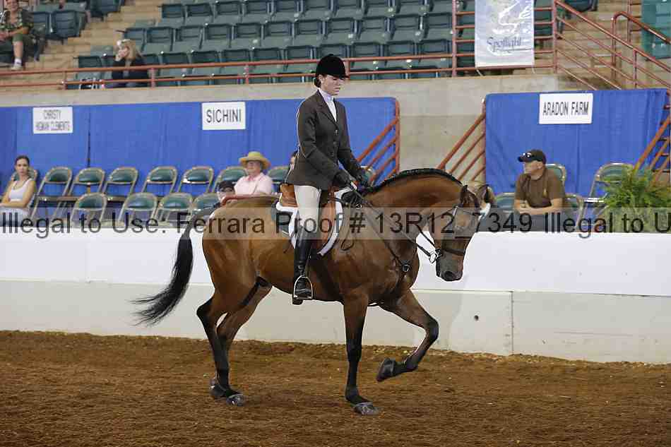 Proof 13r12_7349