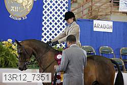 13r12_7351 proof