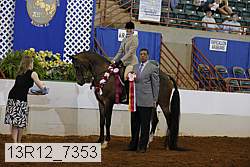 13r12_7353 proof