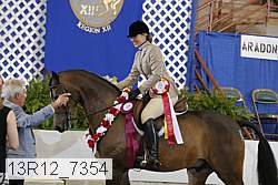 13r12_7354 proof