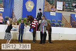 13r12_7361 proof