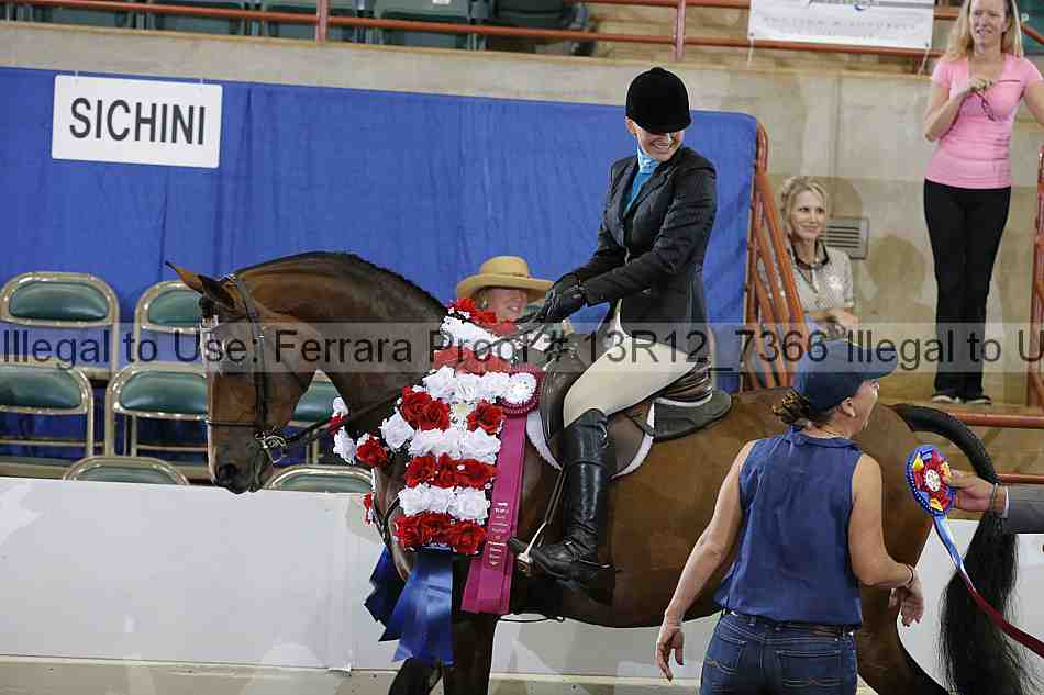 Proof 13r12_7366