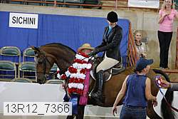 13r12_7366 proof