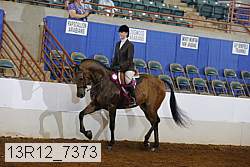 13r12_7373 proof