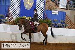13r12_7375 proof
