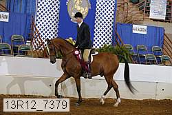 13r12_7379 proof