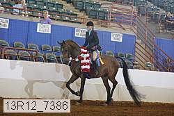 13r12_7386 proof