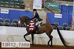 13r12_7389 proof