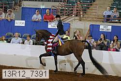 13r12_7391 proof