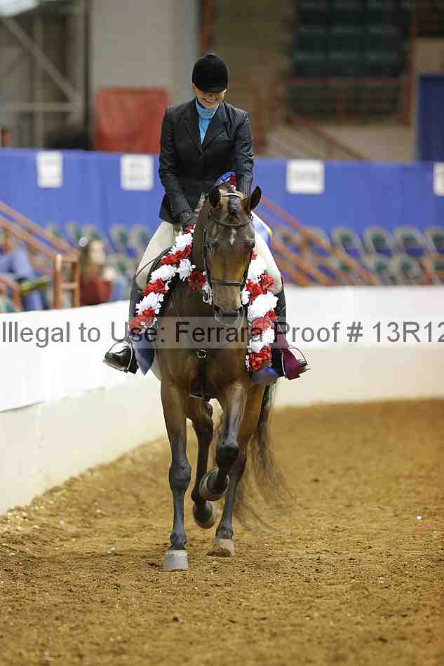 Proof 13r12_7395