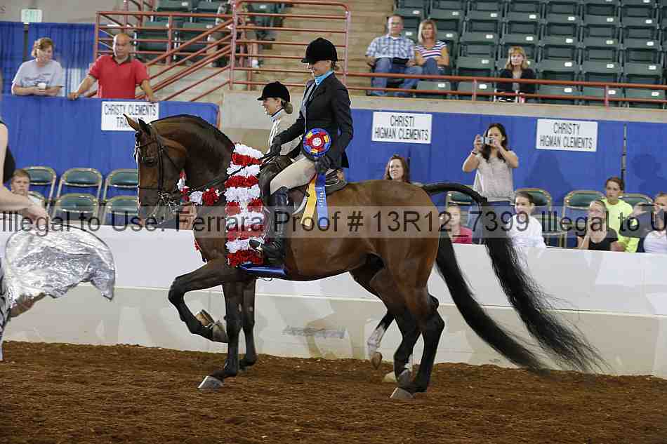 Proof 13r12_7399