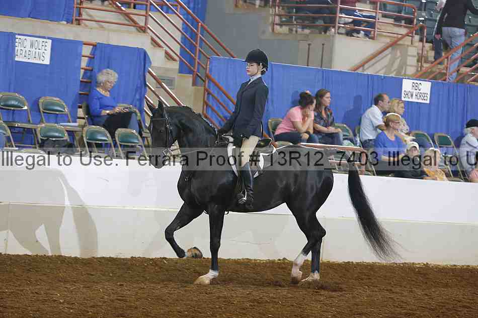 Proof 13r12_7403